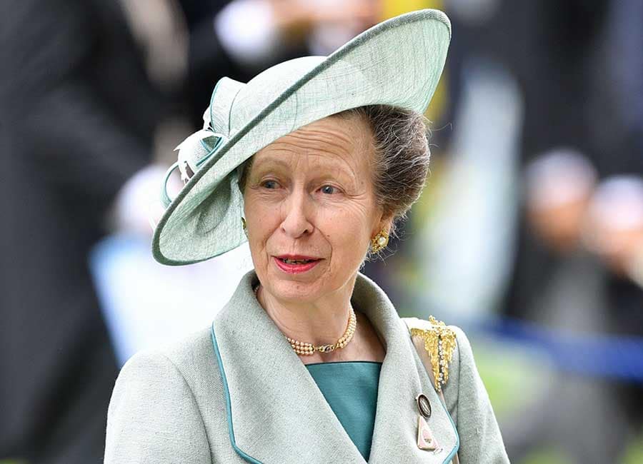 prince Charles - Camilla - princess Royal - Donald Trump - queen Elizabeth - queen Anne - Princess Anne is a total badass and these are the reasons why - evoke.ie