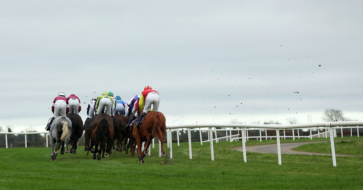 Fairyhouse betting tips: Peter O'Hehir's selections for Saturday's horse racing action - www.irishmirror.ie - Ireland