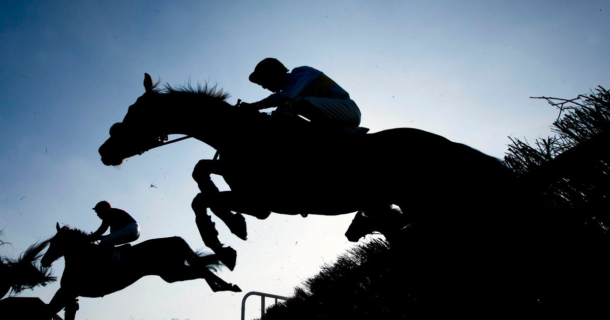 Navan betting tips: Peter O'Hehir's selections for Sunday's horse racing action - www.irishmirror.ie