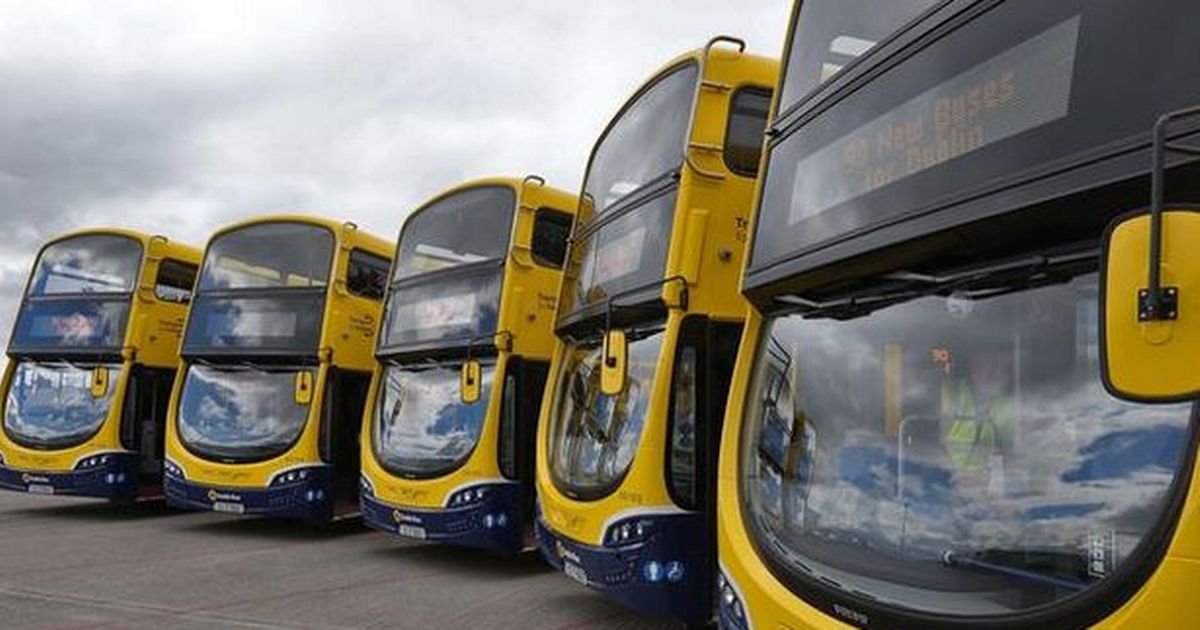 Almost 3,000 people have used new 24-hour Dublin Bus service in first five days - www.irishmirror.ie - Dublin
