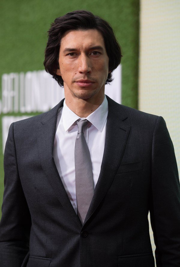 Adam Driver accused of walking out of an interview over Marriage Story clip - www.breakingnews.ie - USA - county Terry