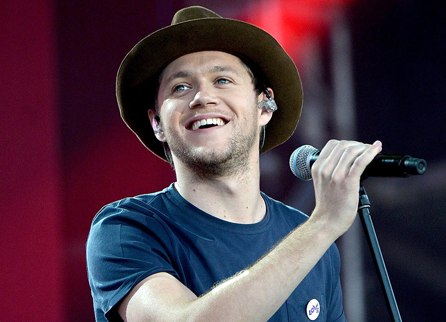 Niall Horan posts hilarious response after fan praises his derriere - evoke.ie