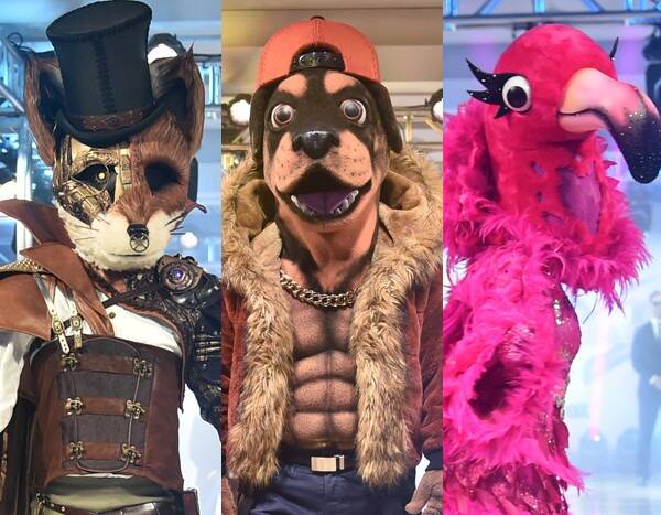 The Masked Singer Unmasks the Flamingo, the Fox, and the Rottweiler, and Names a Winner - www.eonline.com