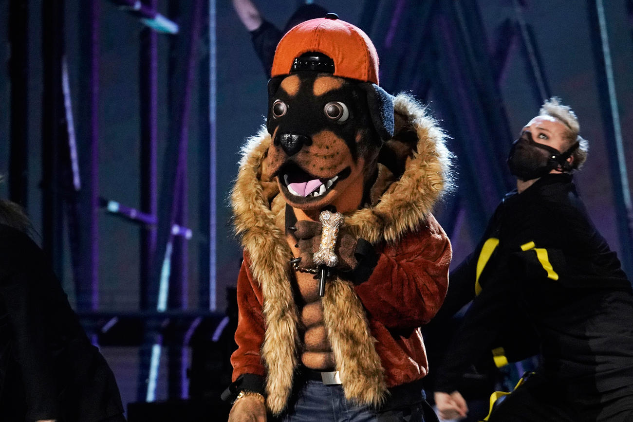 The Masked Singer's Rottweiler Shares a Very Unexpected Reason for Choosing the Dog Suit - www.tvguide.com - USA