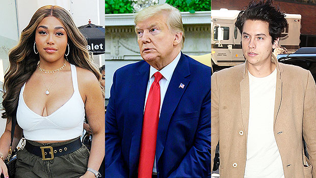 Jordyn Woods, Cole Sprouse &amp; More Stars React To Donald Trump’s Impeachment: ‘Time For A Celebration’ - hollywoodlife.com