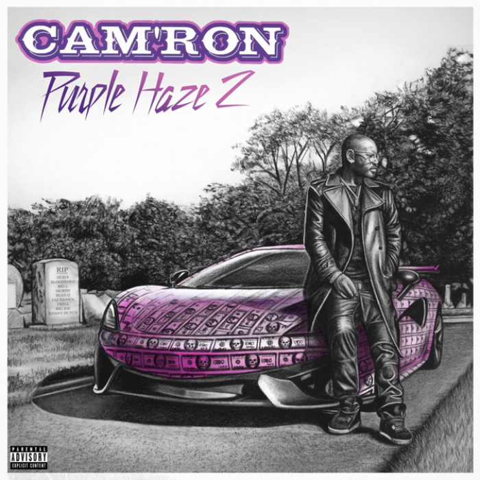 Read All The Lyrics To Cam’ron’s New Album ‘Purple Haze 2’ - genius.com