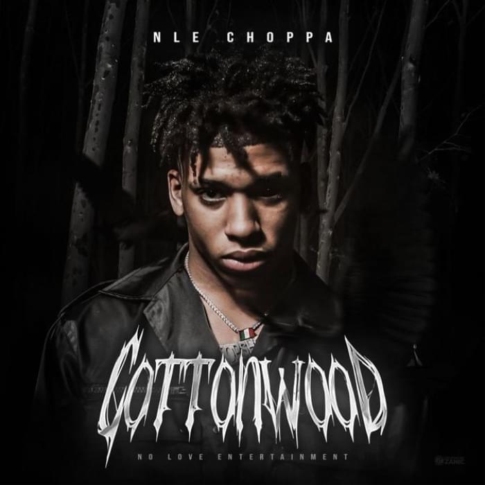 Read All The Lyrics To NLE Choppa’s New EP ‘Cottonwood’ - genius.com - city Memphis