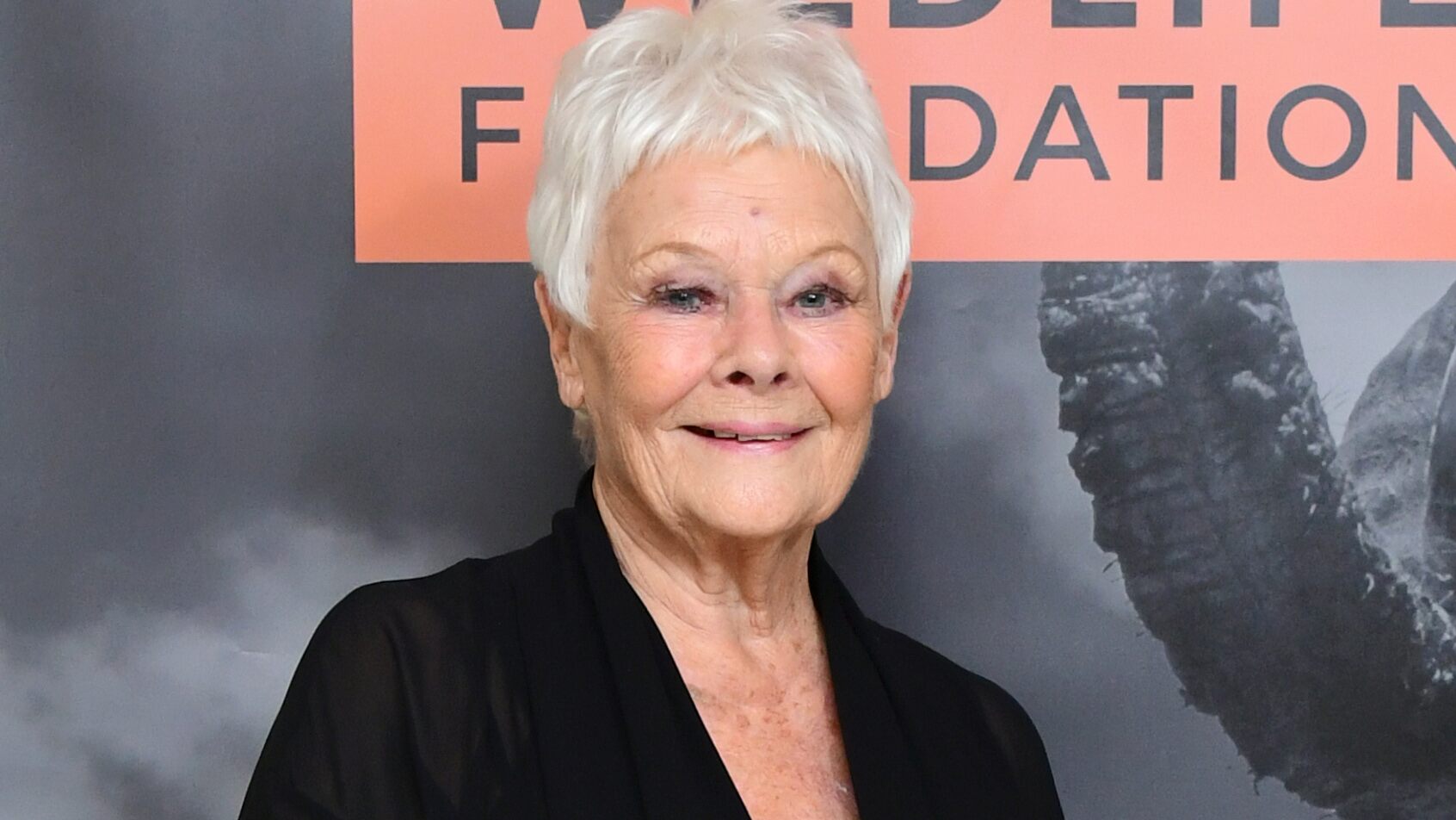 Judi Dench says she sees her 'Cats' character as transgender: ‘I kind of call it ‘trans-Deuteronomy’ - www.foxnews.com
