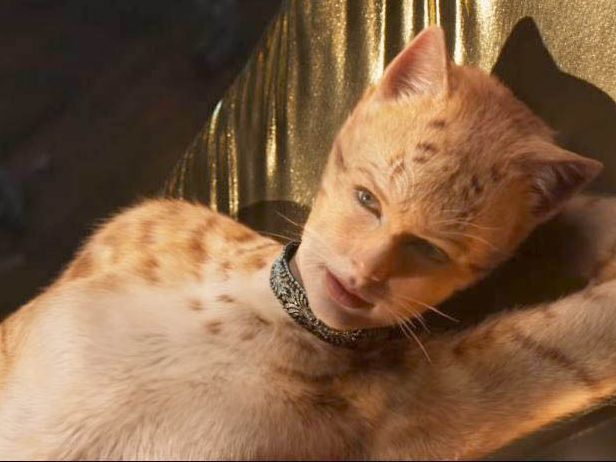 Universal pictures cuts 'Cats' from its For Your Consideration page: Report - torontosun.com