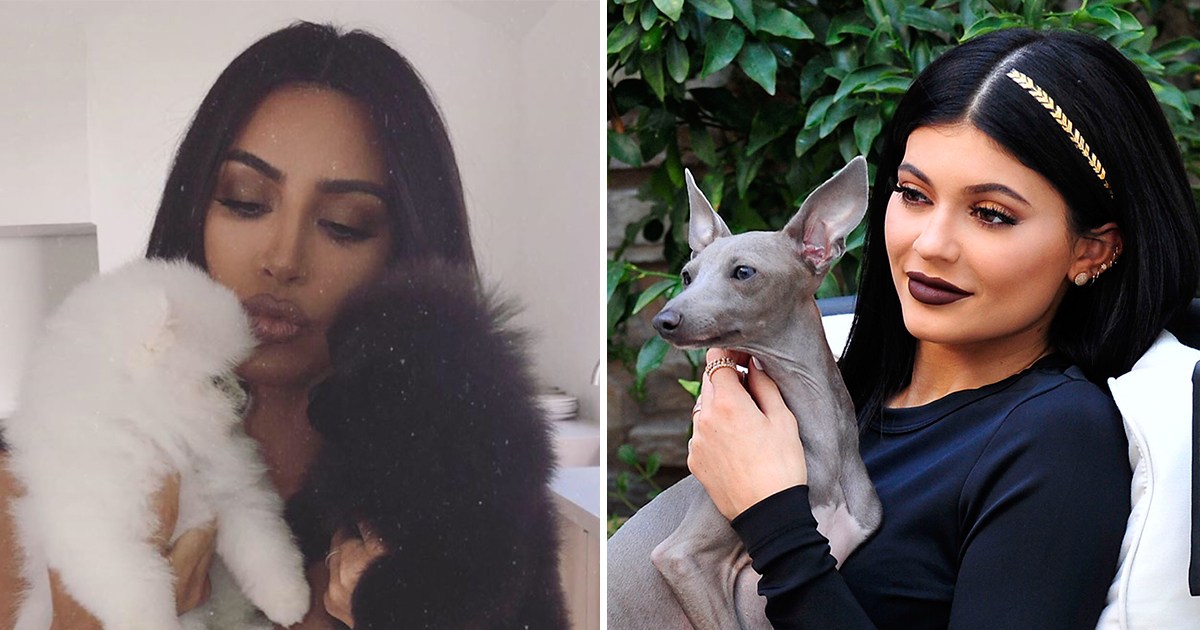 From Norman to Sushi: A Guide to the Kardashian-Jenner Family’s Dogs - www.usmagazine.com - USA