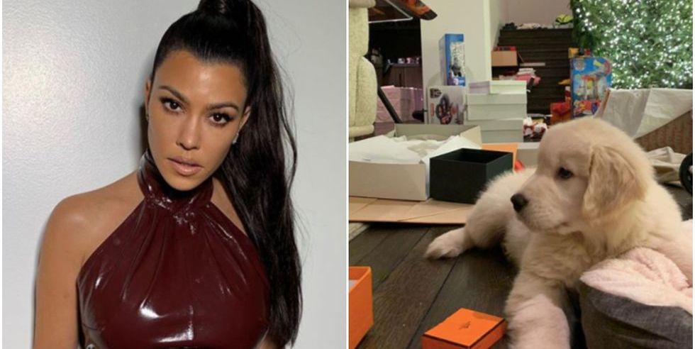 Kourtney Kardashian Responds to Backlash Over Getting a New Puppy for Christmas - www.harpersbazaar.com