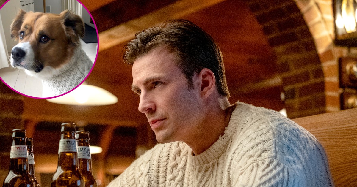 Chris Evans Gave His Dog a Matching ‘Knives Out’ Sweater for Christmas - www.usmagazine.com