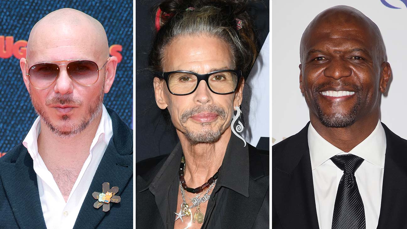 Pitbull, Terry Crews Set to Join Steven Tyler's Grammy Night Fundraiser for Janie's Fund - www.hollywoodreporter.com