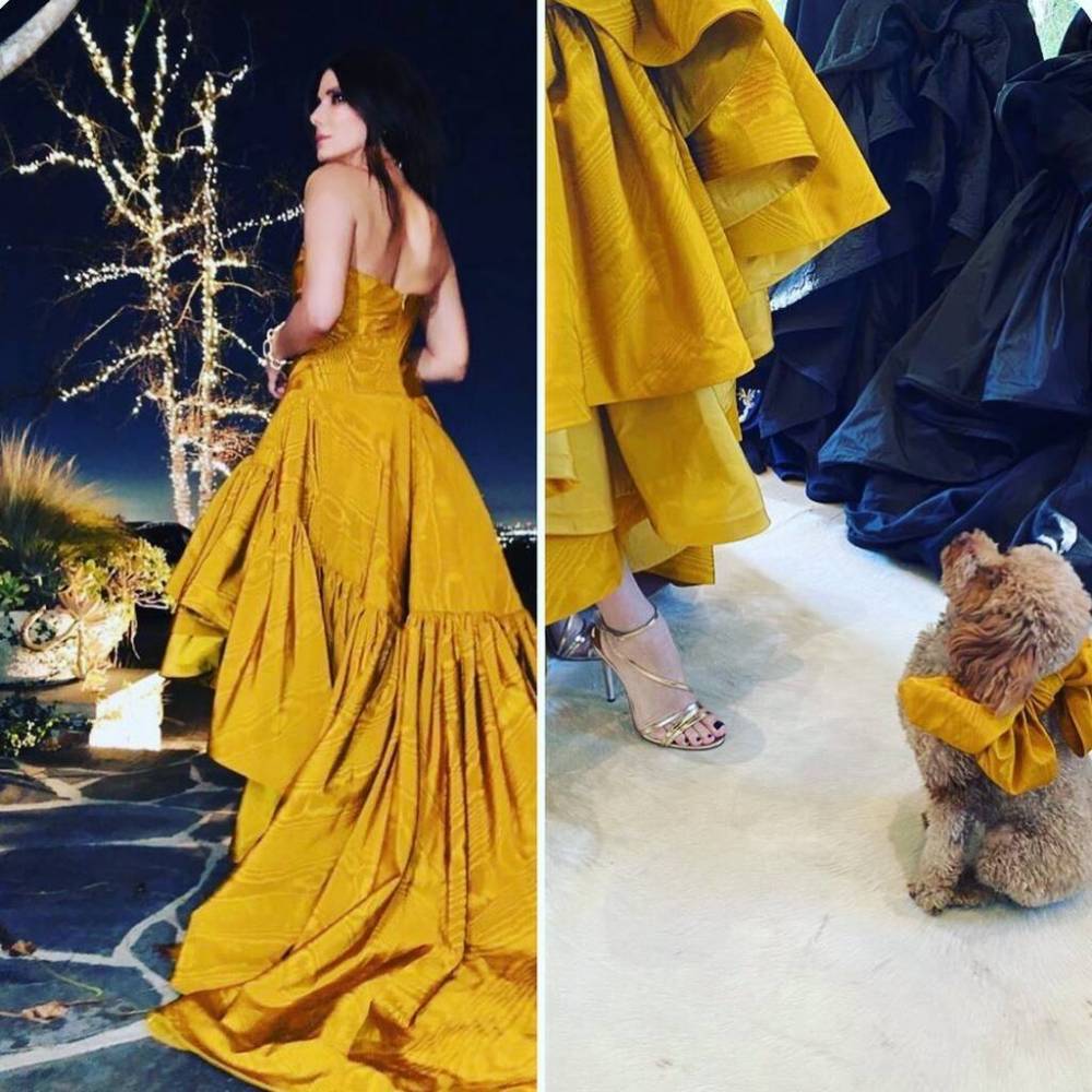 Sandra Bullock’s dog matched her Golden Globes gown with custom bow - www.peoplemagazine.co.za - Los Angeles - county Bullock