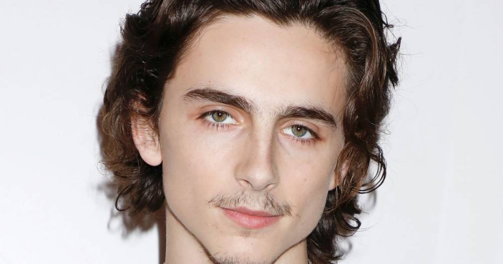 Timothee Chalamet Debuted a Mustache and the Internet Has Feelings - www.usmagazine.com - New York