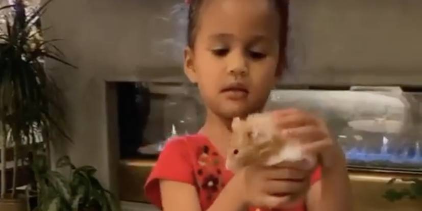 Chrissy Teigen Shares Hostage-Style Video to Prove Their Hamster Is Alive - www.marieclaire.com