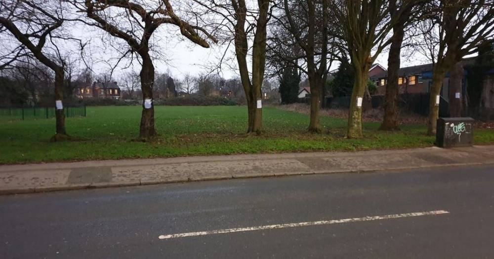 Angry notices to dog owners have been stuck to 'every single tree' in park - www.manchestereveningnews.co.uk