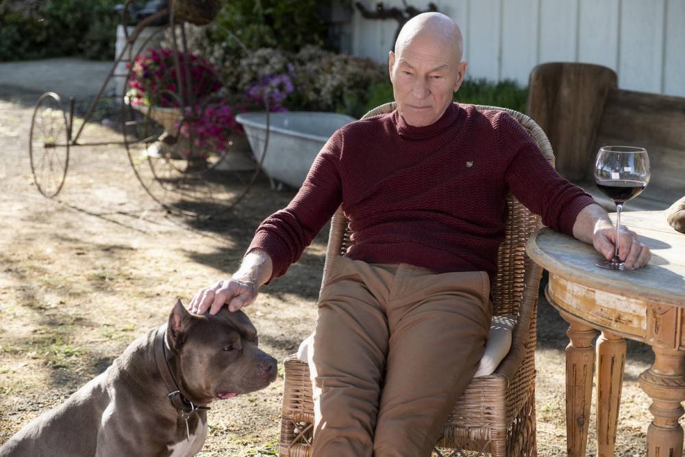 Star Trek's Sir Patrick Stewart on Returning to Jean-Luc Picard: 'He's Always Been There' - www.tvguide.com