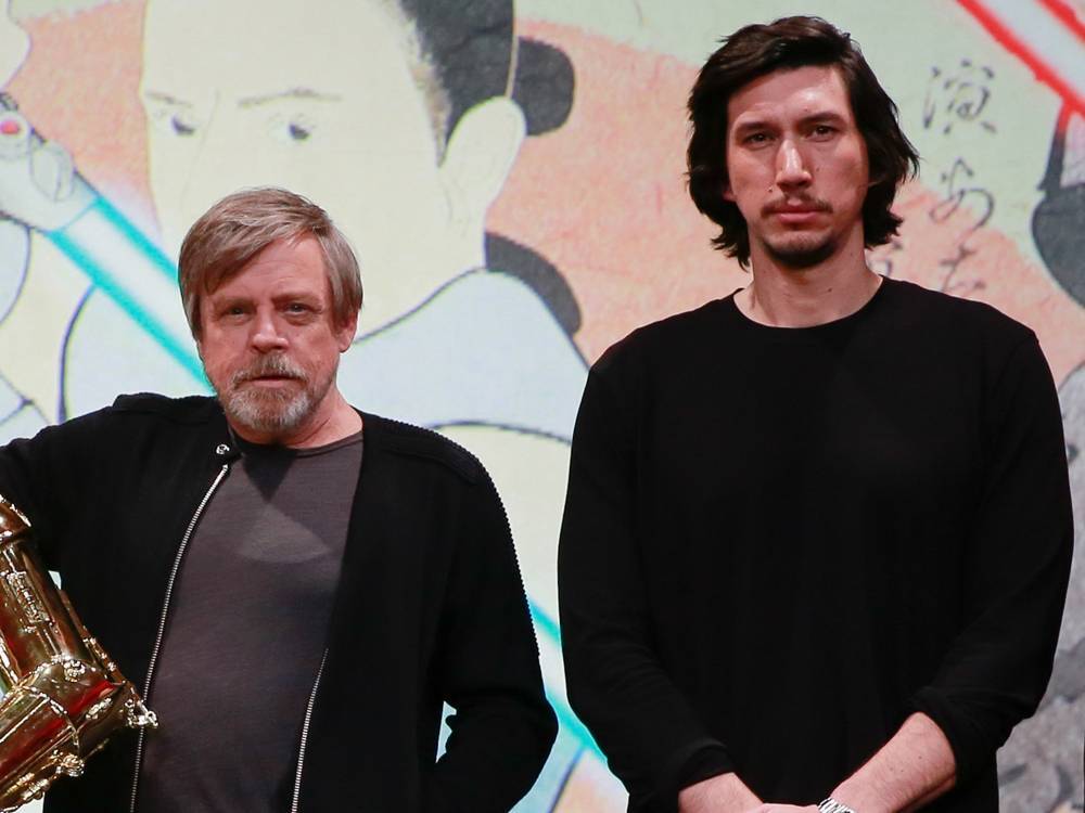 Star Wars co-stars Mark Hamill and Adam Driver teamed up to find a missing dog - nationalpost.com - Belgium