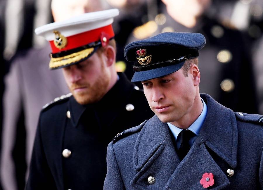 Harry and William deny claims of bullying within the royal family - evoke.ie