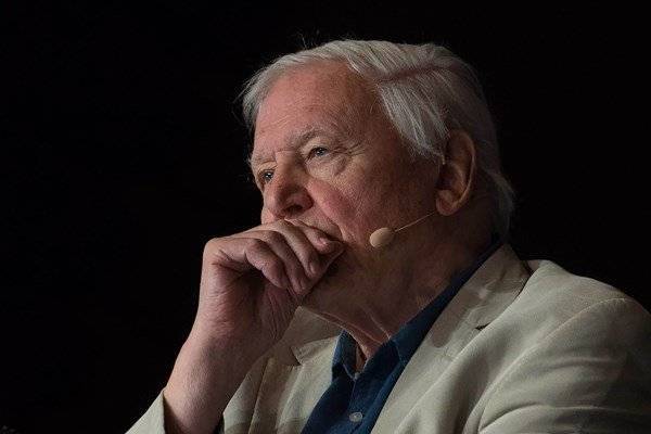 David Attenborough warns that humans ‘have overrun the world’ in trailer - www.breakingnews.ie