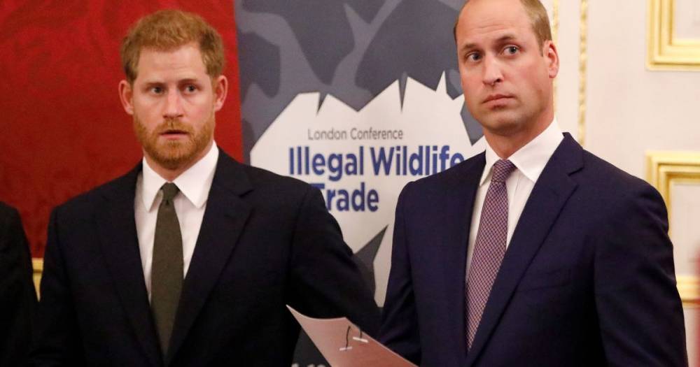 Princess Diana's bodyguard overheard revealing statement young Harry told William - www.dailyrecord.co.uk - London