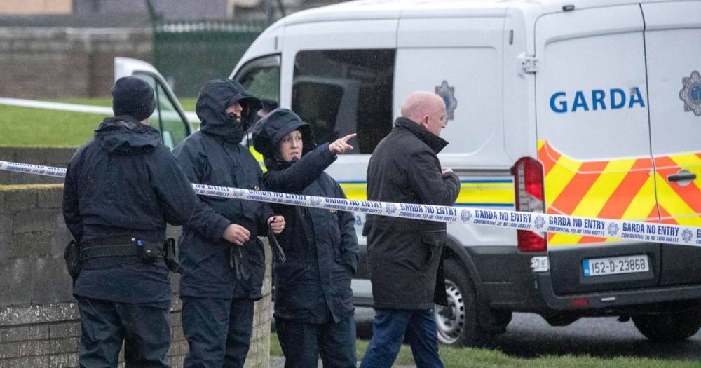 Body parts found in burning car after limbs discovered stuffed in sports bag - www.dailyrecord.co.uk - Ireland - Dublin