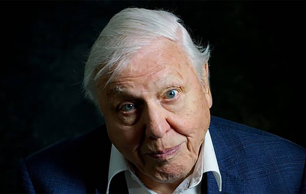 Watch the trailer for David Attenborough’s “witness statement” new film - www.nme.com