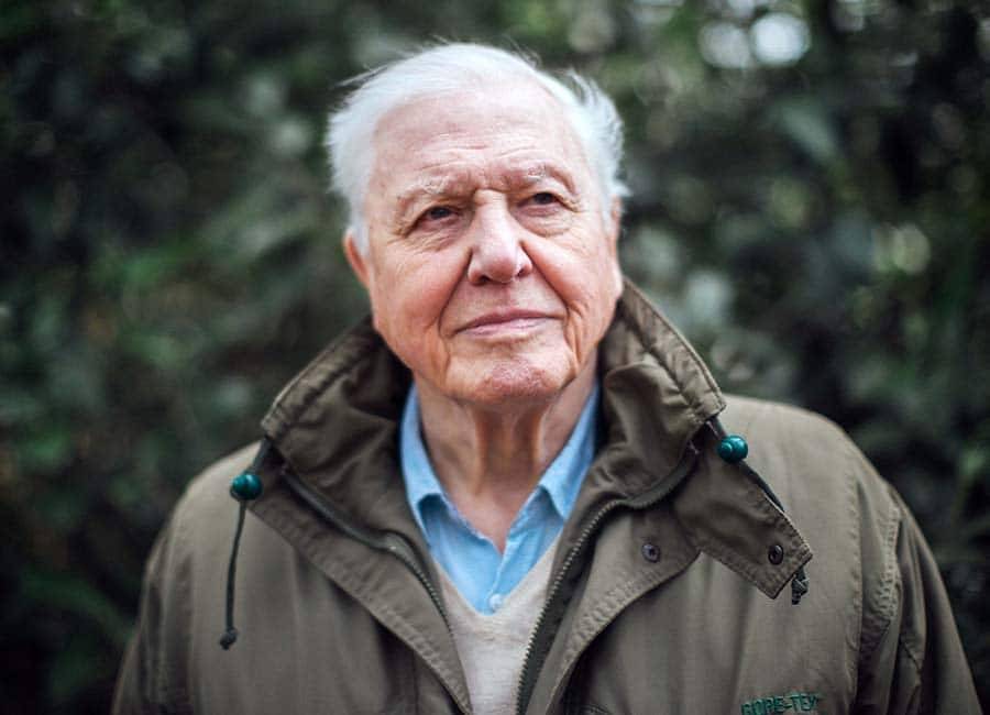 David Attenborough warns ‘Humans have overrun the world’ in new documentary - evoke.ie
