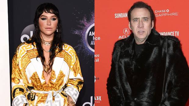 Kesha Meets ‘Idol’ Nicolas Cage It Goes Way Better Than That Time She Met Jerry Seinfeld — Watch - hollywoodlife.com - California
