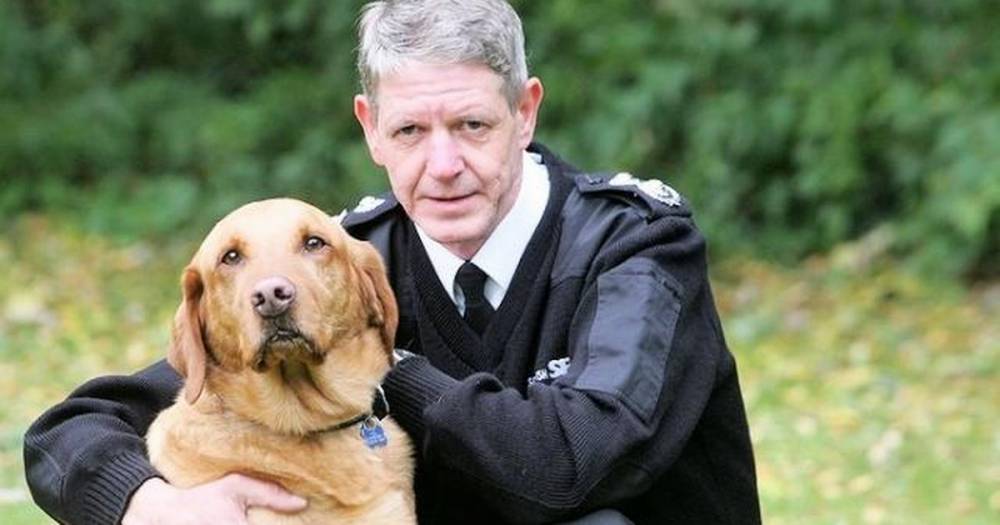 Stretched animal rescue charity's plea highlights dangers of social media - www.dailyrecord.co.uk - Scotland