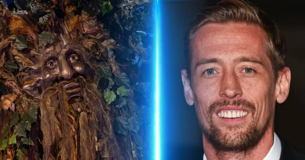 The Masked Singer gets even weirder as the tree is unmasked - and it wasn't Peter Crouch - www.manchestereveningnews.co.uk
