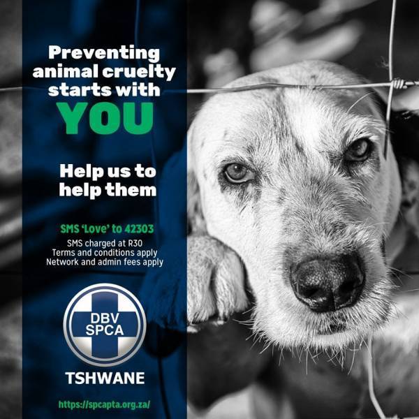 Help Pretoria SPCA Face Its Biggest Challenge In 2020 - www.peoplemagazine.co.za