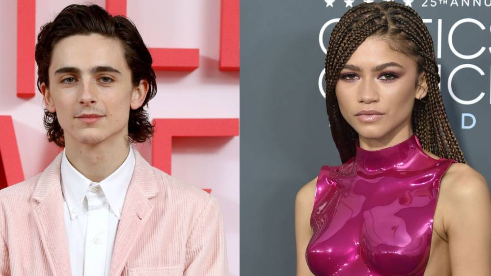 Nothing To See Here, Just Timothée Chalamet And Zendaya Hanging Out At Bed Bath &amp; Beyond - www.mtv.com - New York
