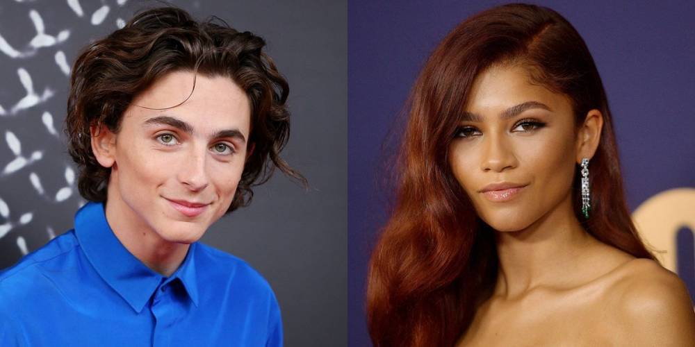 I Have So Many Questions About Zendaya and Timothée Chalamet's Bed Bath &amp; Beyond Trip - www.cosmopolitan.com - New York