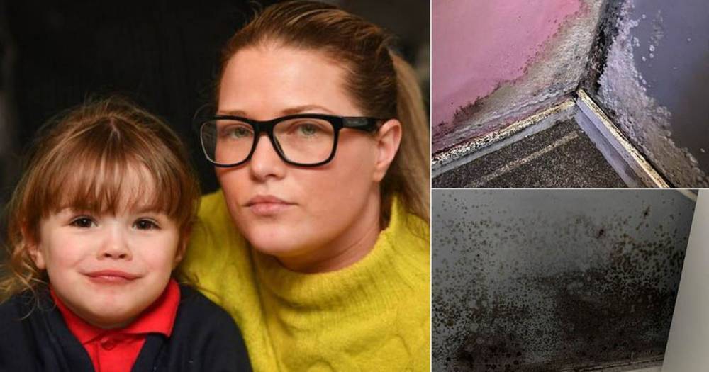 Mum's 10-year battle with landlord who 'won't sort out mould... or let her move house' - www.manchestereveningnews.co.uk