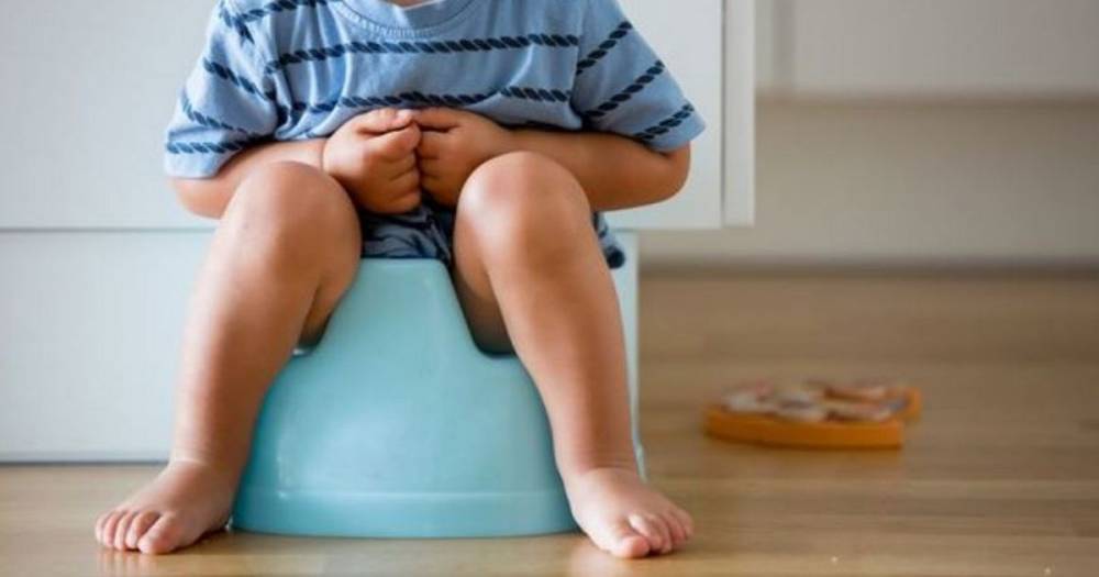 Mum uses Amazon Alexa to help with potty training and parents think it's 'genius' - www.manchestereveningnews.co.uk