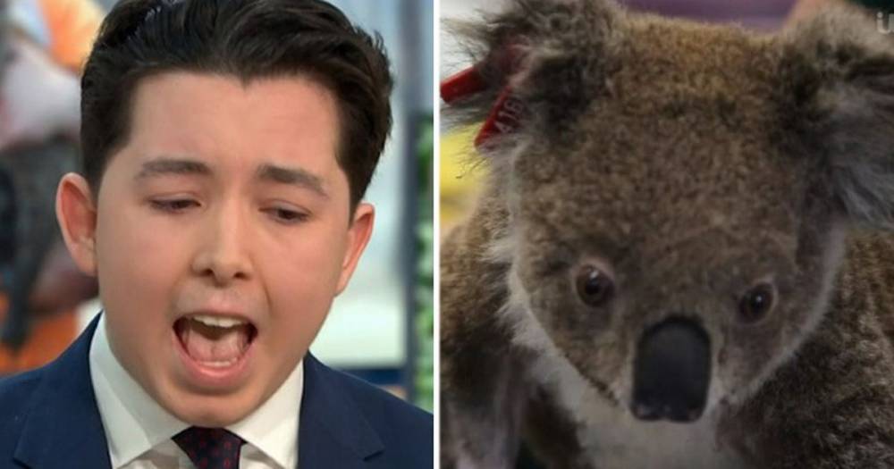 Apprentice star Ryan-Mark Parsons slammed for suggesting to sell fur from dead koalas - www.manchestereveningnews.co.uk - Australia - Britain
