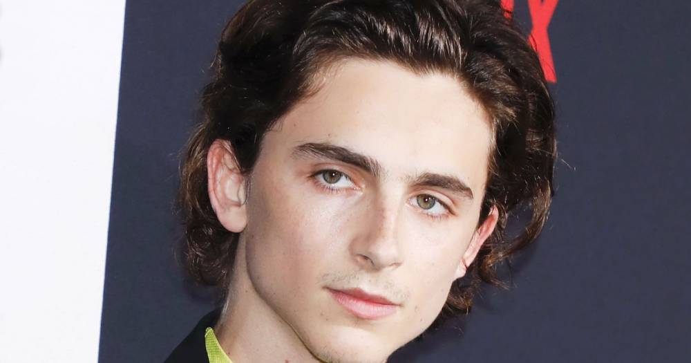 TikTok User Rocks Social Media by Transforming Herself Into a Spitting Image of Timothee Chalamet - www.usmagazine.com - county Roberts