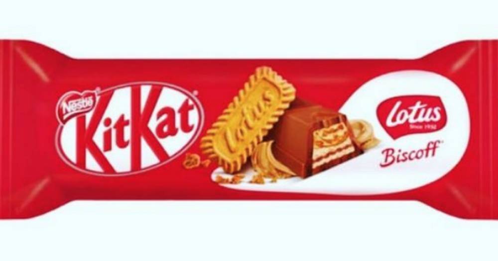 You can now buy Lotus Biscoff KitKats and they sound delicious - www.ok.co.uk
