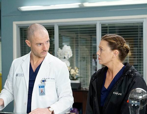 Grey's Anatomy and Station 19 Return With All Sorts of Relationship Drama - www.eonline.com
