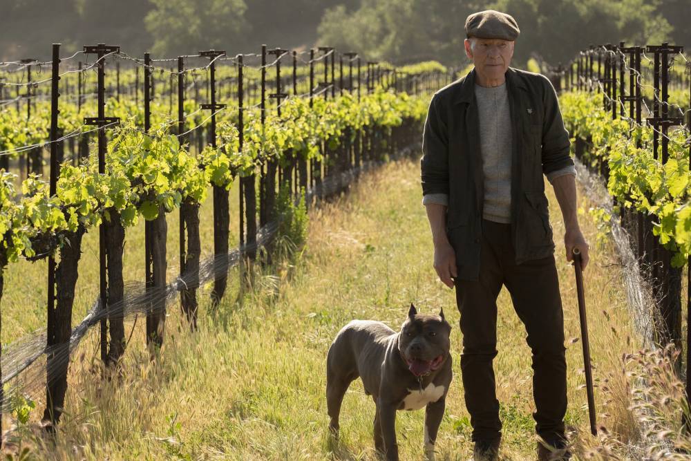 ‘Star Trek: Picard – Episode One: Remembrance’ Review: Dir. Hanelle Culpepper (Amazon Prime) - www.thehollywoodnews.com