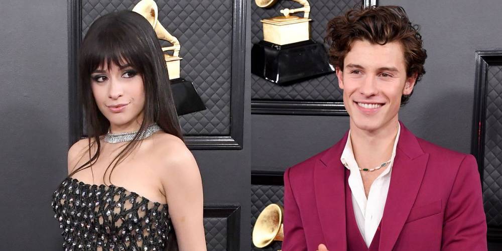 Why Camila Cabello Didn't Walk With Shawn Mendes on the Grammys 2020 Red Carpet - www.elle.com