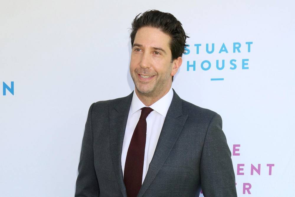 David Schwimmer rules out Friends revival - www.hollywood.com