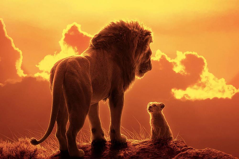 The Lion King Is Now Streaming on Disney Plus - www.tvguide.com