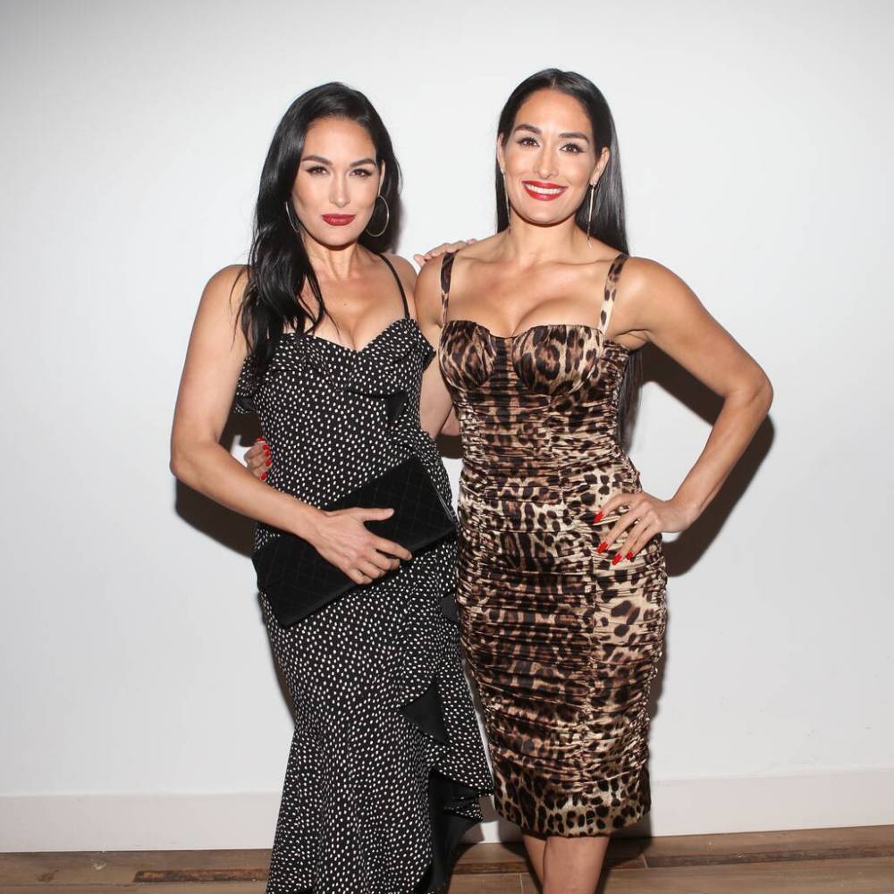 WWE twins Nikki and Brie Bella both pregnant - www.peoplemagazine.co.za