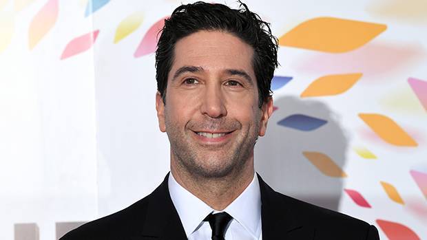 David Schwimmer Insists He Meant No ‘Disrespect’ To ‘Living Single’ After Cast Calls Him Out - hollywoodlife.com