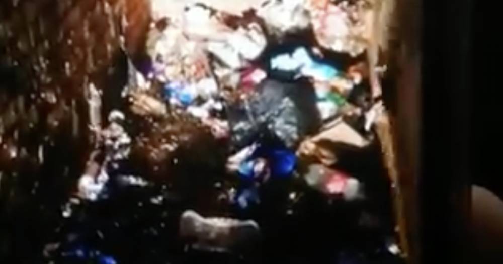 Shocking video shows rat infested bin area in Glasgow as refuse staff hit out - www.dailyrecord.co.uk