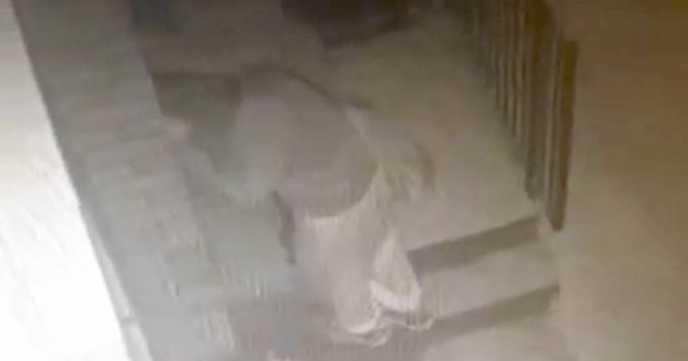 Disturbing CCTV shows masked gang trying door handles and prowling outside homes near Falkirk - www.dailyrecord.co.uk