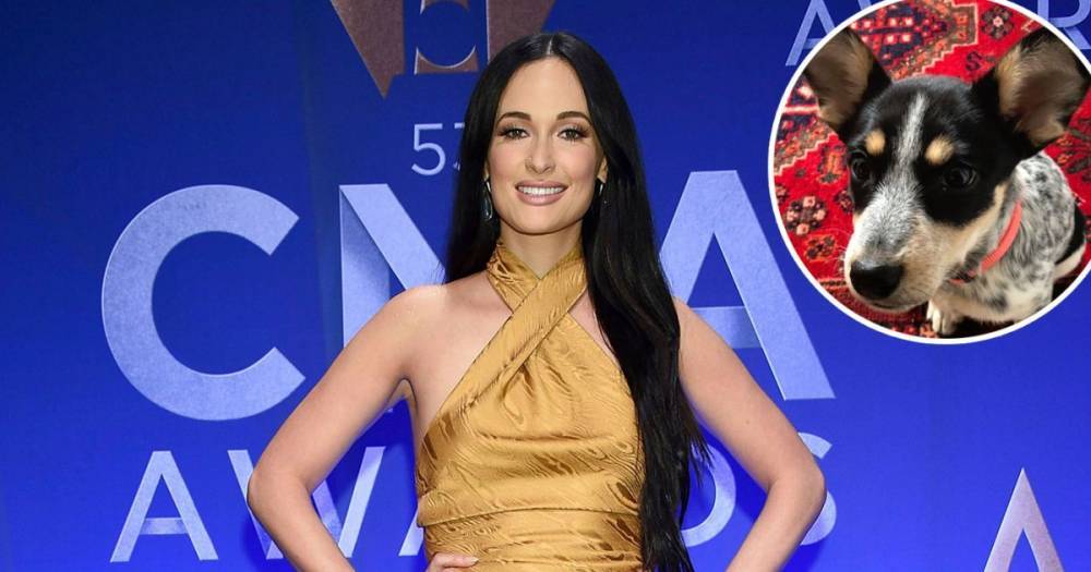 Kacey Musgraves Introduces Her ‘Lil Pound Puppy’ Named Pepper to Social Media 1 Day After Bringing Her Home - www.usmagazine.com